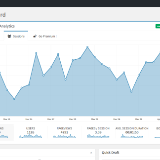 Lara's Google Analytics - Pro