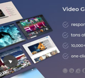DZS Video Gallery