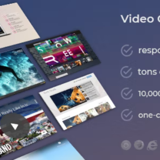 DZS Video Gallery