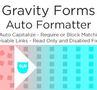 Gravity Forms Auto Formatter