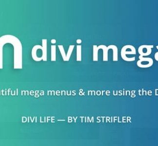 Divi Mega Menu