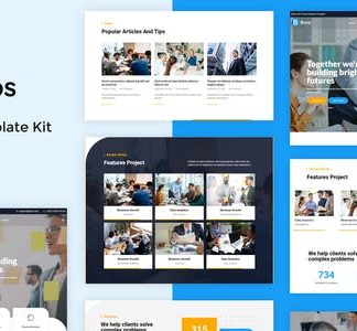Boos - Business Elementor Template Kit