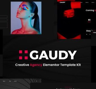 Gaudy – Dark Digital Agency Elementor Template Kit