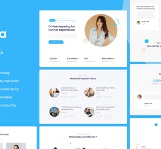 Learnera | e-Learning, School & University Elementor Template Kit