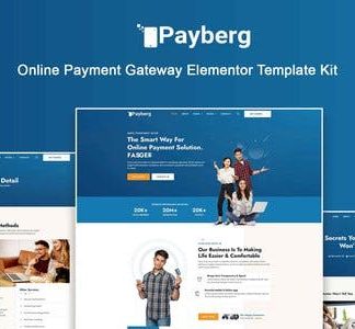 Payberg - Online Payment Gateway Elementor Pro Template Kit