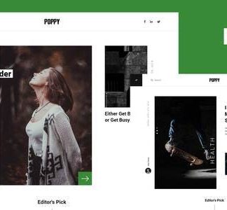 Poppy - Blog & Magazine Elementor Pro Template Kit