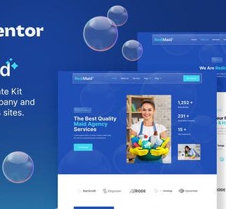 Redimaid - Cleaning & Maid Service Agency Elementor Template Kit
