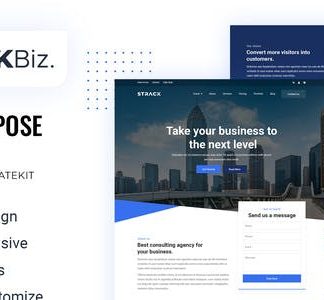 STRACK Biz | Elementor Template Kit