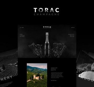 Torac - Champagne Elementor Template Kit