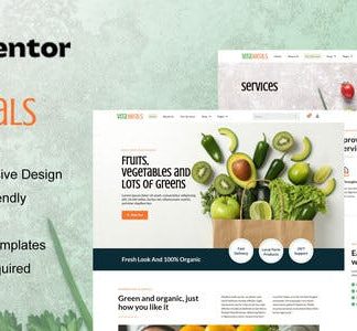 Vitameals - Fruits & Vegetables Store Elementor Template Kit