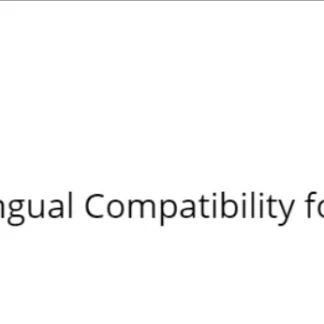 Multilingual Compatibility for PWA