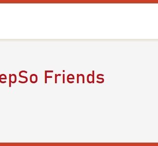 PeepSo Core: Friends