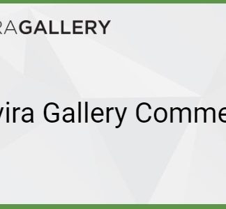 Envira Gallery - Comments Addon