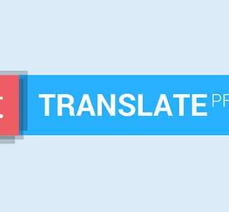 TranslatePress - Developer