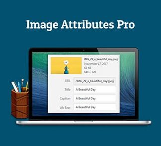 Auto Image Attributes Pro
