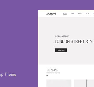 Aurum - Demo Content