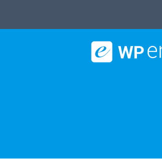 WPEnjoy - CompanyOne