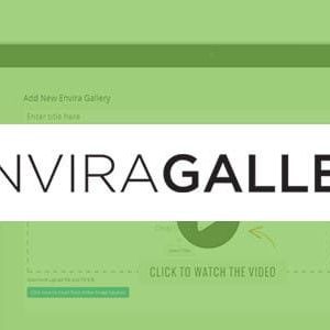 Envira Gallery - Social Addon