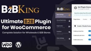 B2BKing Pro