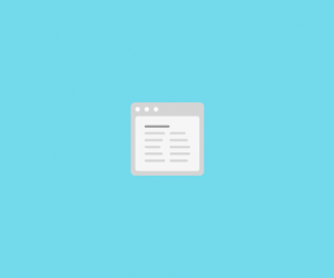BNFW – Custom Fields Add-on