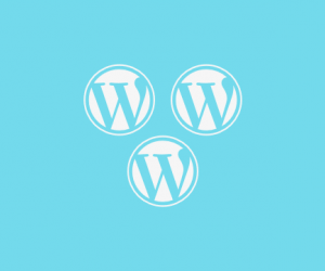 BNFW – Multisite Add-on