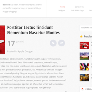 Boxline – Modern & Elegant WordPress Magazine Theme