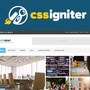 Cssigniter – Doberman Wordpress Theme
