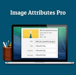 Auto Image Attributes Pro