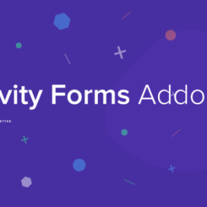 Newsletter - Gravity Forms Addon