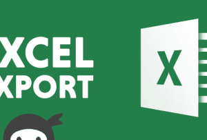 Ninja Forms – Excel Export