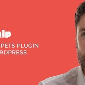 Rich Snippets Wordpress Plugin