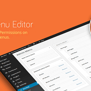 Admin Menu Editor Pro (addons included)