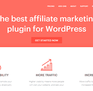 AffiliateWP - Flag Affiliates