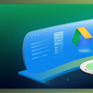 All-in-One WP Migration Google Drive Extension