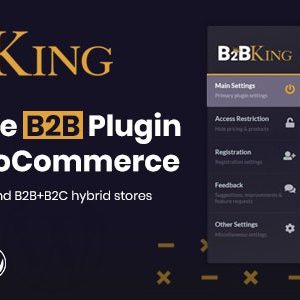 B2BKing Pro