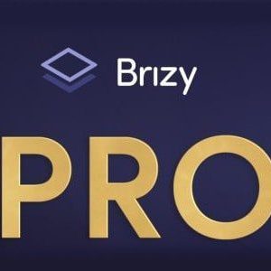 Brizy
