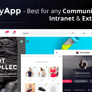 Buddyapp – Mobile First Community Wordpress Theme
