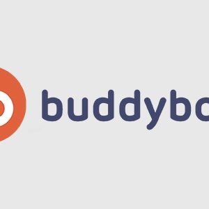 BuddyBoss Platform