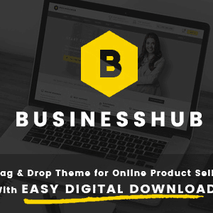 Business Hub – Responsive Wordpress Theme For Online Business