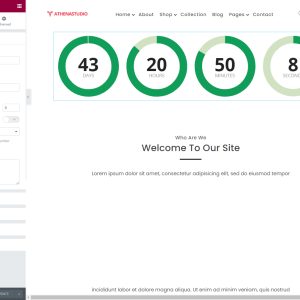 CircleTimer - Addon for Elementor