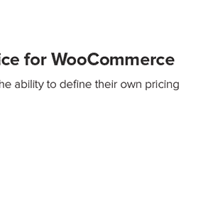 Custom Price for WooCommerce PRO