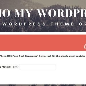 Demo My WordPress