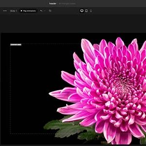 Depicter — Popup & Slider Builder