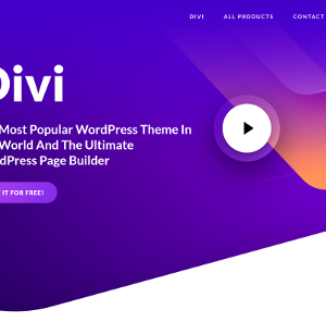Divi Builder