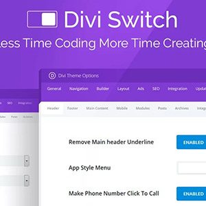 Divi Switch