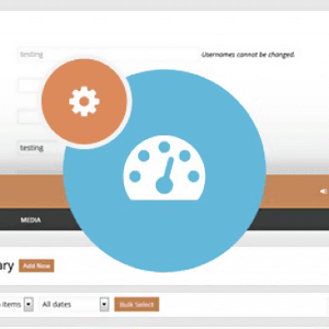 Ait Easy Admin – Wordpress Admin Simplified