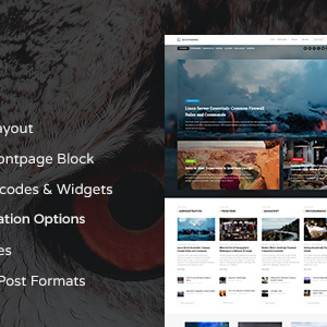 Talon - Responsive Wordpress Theme