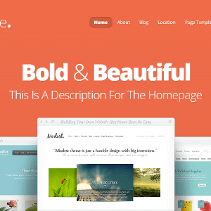 Nimble – Big, Bold, And Beautiful Theme