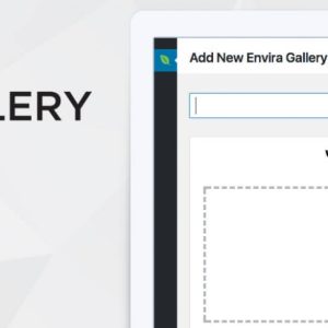 Envira Gallery - Instagram Addon