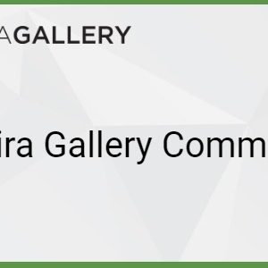 Envira Gallery - Comments Addon